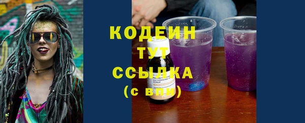 индика Нягань