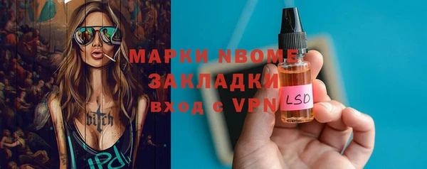 индика Нягань