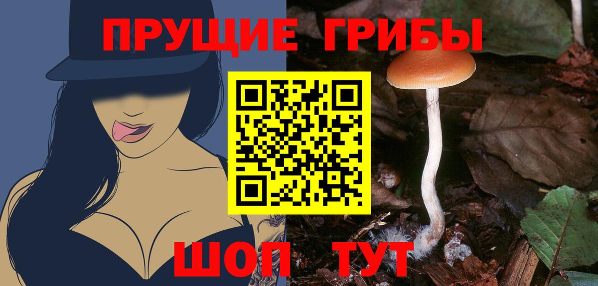 Псилоцибиновые грибы Psilocybe  Псилоцибиновые грибы Magic Shrooms  Тавда  Вход с VPN 